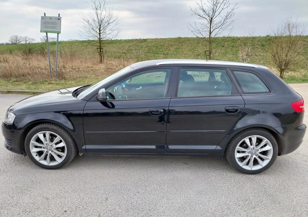 Audi A3 cena 24000 przebieg: 316829, rok produkcji 2009 z Wrocław małe 106